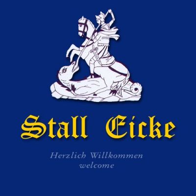 eicke_start_logo